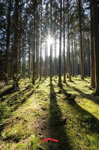 chata_tri_studne_lesy