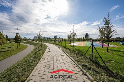 BD Pražákova okolí