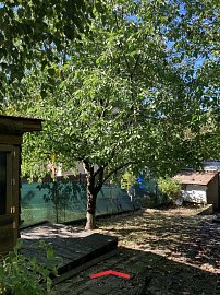 Zahrada_Líšeň_třešeň