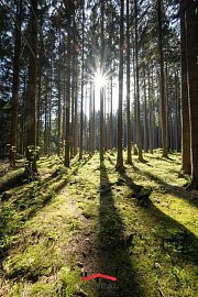 chata_tri_studne_lesy