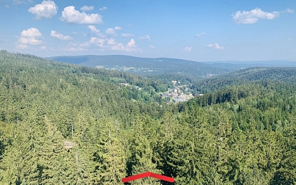 fotografie