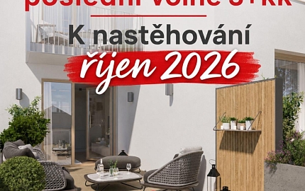 BD_Rotalova_k_nastehovani_RIJEN26_01.jpg